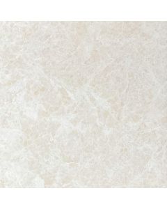 Paloma Ivory