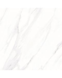 DSW6P600B