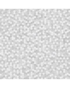 CCT01